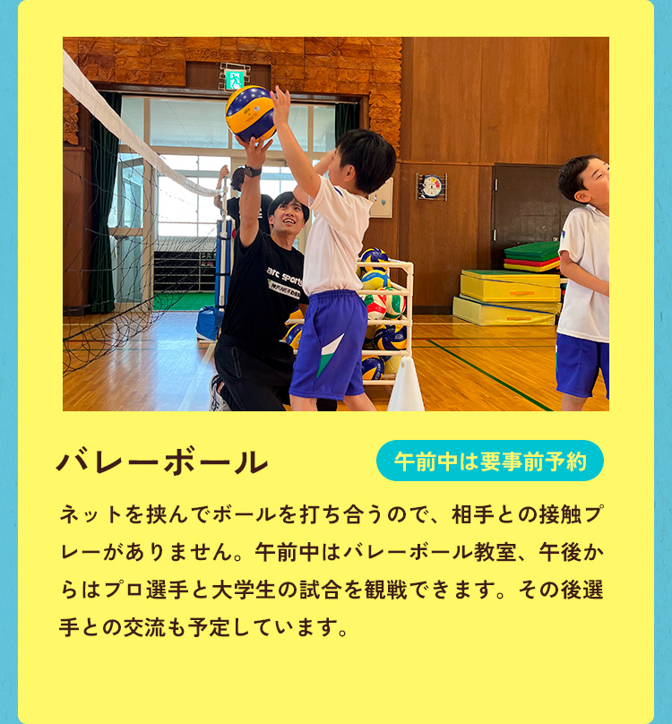 バレーボール